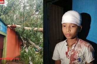 Korba Tree Fall Incident