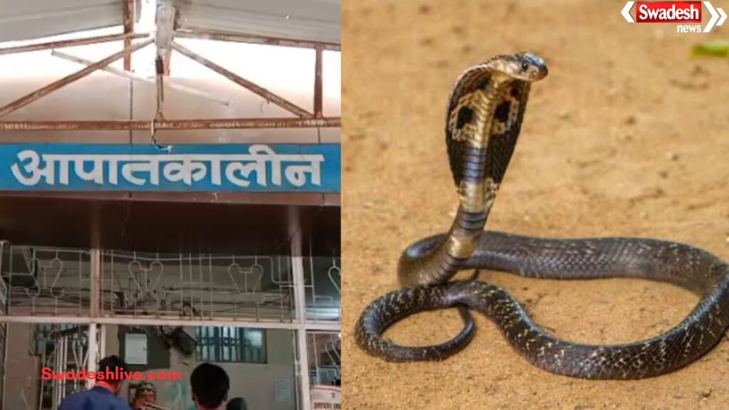 Snake Bite Prevention