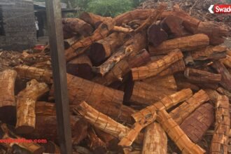 Khair Wood Smuggling