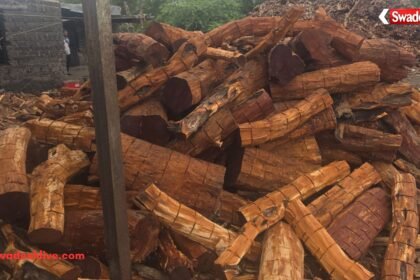 Khair Wood Smuggling
