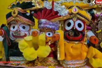 Pithora Jagannath Rath Yatra