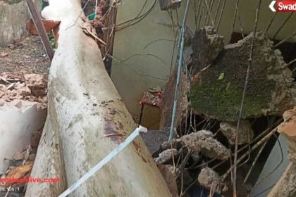 Gariaband Tree Accident