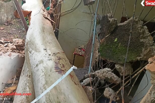 Gariaband Tree Accident