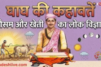 लोक कवि घाघ की 10 प्रसिद्ध कहावतें: बारिश, खेती और मौसम का सटीक लोकज्ञान