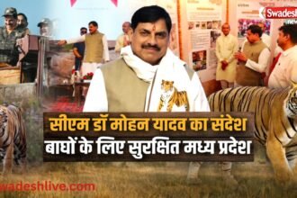 MP Tiger State की कहानी | CM मोहन यादव बोले- बढ़ रहा बाघों का कुनबा | International Tiger Day
