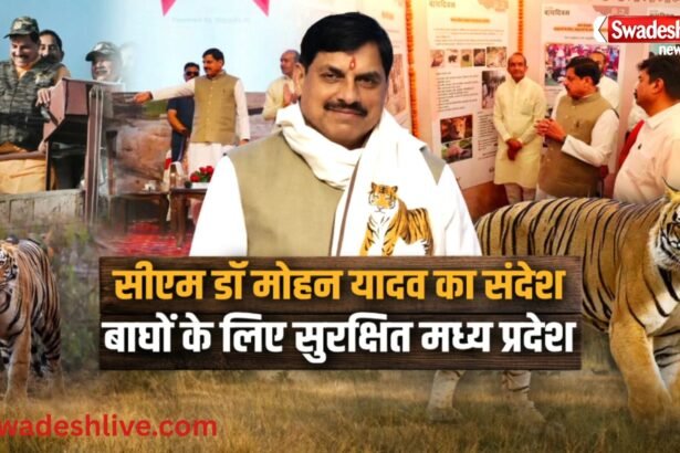 MP Tiger State की कहानी | CM मोहन यादव बोले- बढ़ रहा बाघों का कुनबा | International Tiger Day
