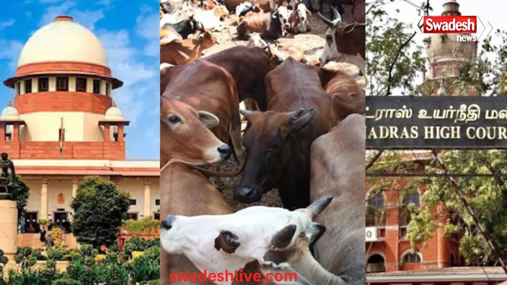 सुप्रीम कोर्ट ने गाय वध पर मद्रास हाईकोर्ट के आदेश पर लगाई रोक