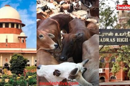 सुप्रीम कोर्ट ने गाय वध पर मद्रास हाईकोर्ट के आदेश पर लगाई रोक