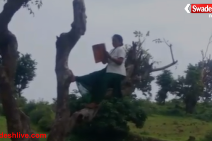 ANM Climbs Tree