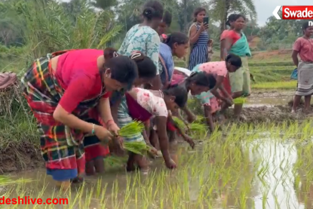 Jamtara News