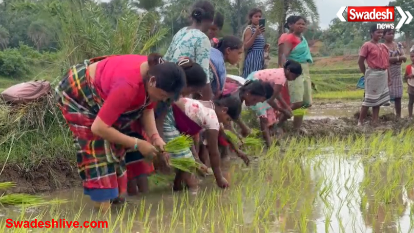 Jamtara News