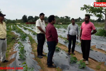 Farmer Success Story