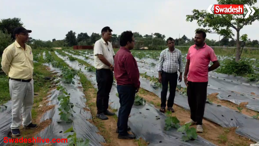 Farmer Success Story