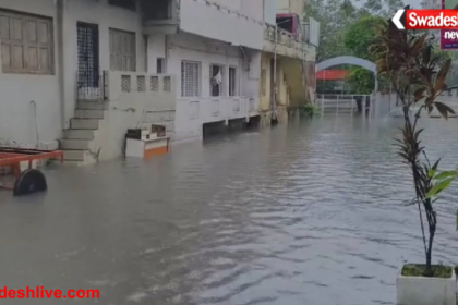 Heavy Rainfall Gujarat
