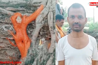 Hanuman Ji Image in Peepal Tree