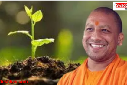 UP 40 Crore Plantation Drive Letter