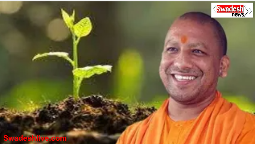 UP 40 Crore Plantation Drive Letter