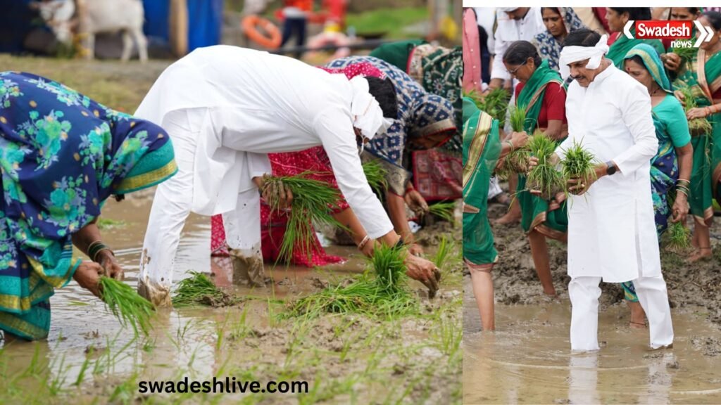 सिवनी में किसानों के साथ खेत में धान बोते मुख्यमंत्री डॉ. मोहन यादव
