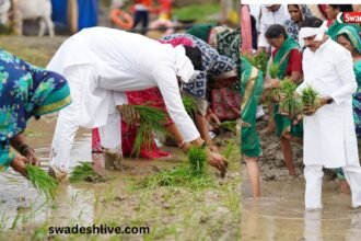 सिवनी में किसानों के साथ खेत में धान बोते मुख्यमंत्री डॉ. मोहन यादव