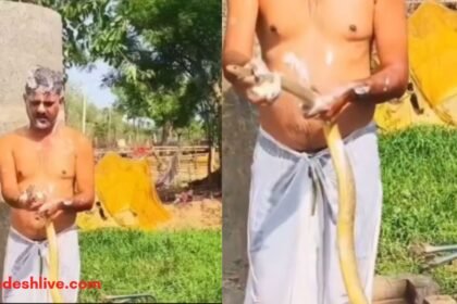 साबुन लगाकर सांप को नहलाता हुआ शख्स, सोशल मीडिया पर वायरल वीडियो।