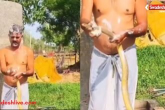 साबुन लगाकर सांप को नहलाता हुआ शख्स, सोशल मीडिया पर वायरल वीडियो।