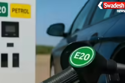 E20 Petrol Myth vs Reality Automobile Industry