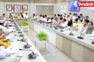 Yogi Cabinet Decisions