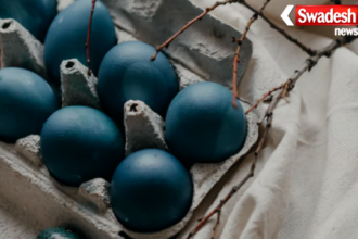 Japan Owakudani Black Egg Viral News