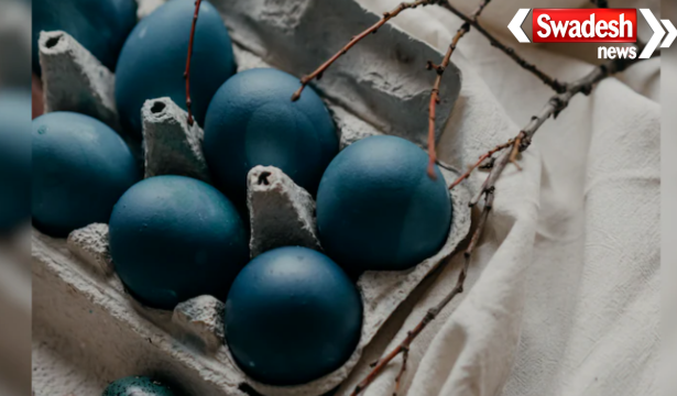 Japan Owakudani Black Egg Viral News