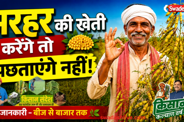 अरहर की खेती कैसे करें? उन्नत बीज, बीज उपचार, कीट नियंत्रण और सरकारी योजना | Tuar Farming Guide