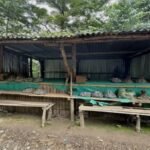 Nagaland Honest Self Service Shops