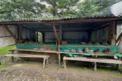Nagaland Honest Self Service Shops