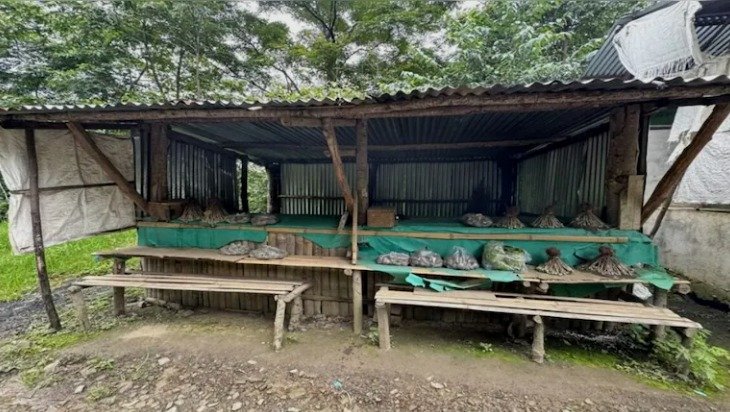 Nagaland Honest Self Service Shops