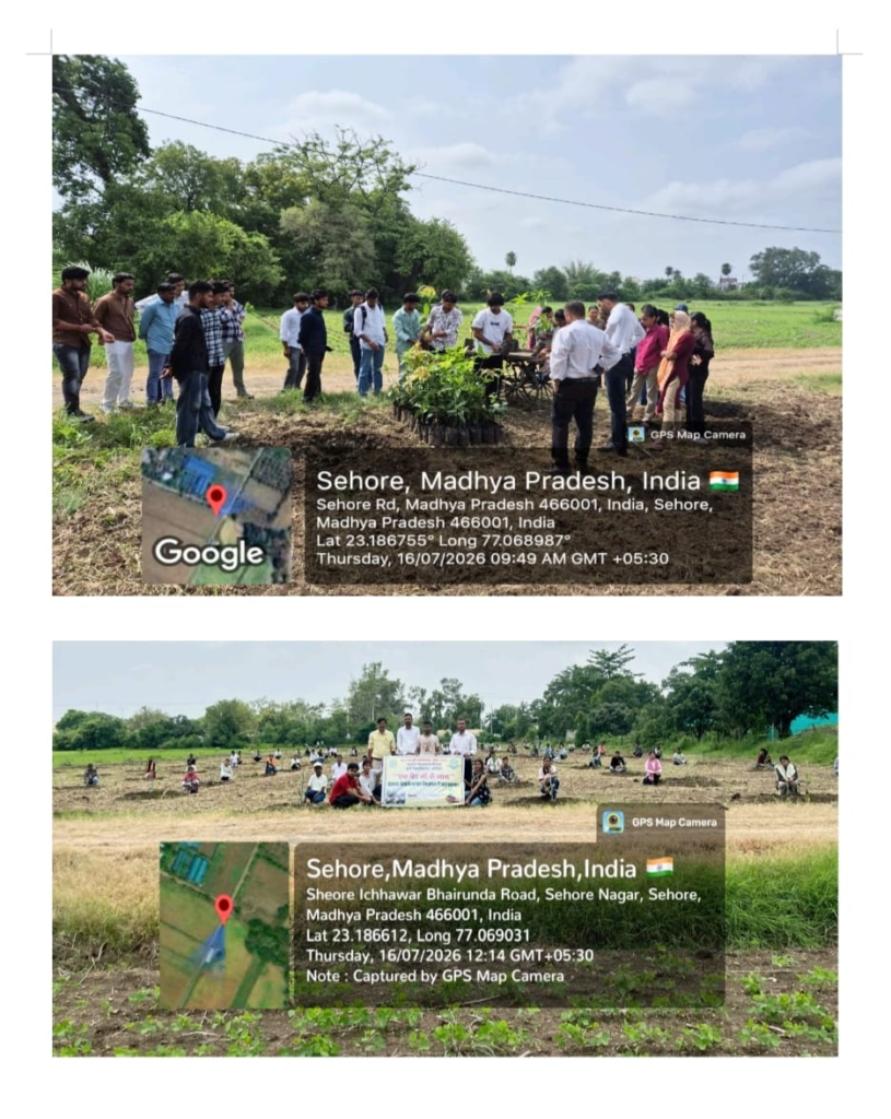 Green Graduation Degree Program