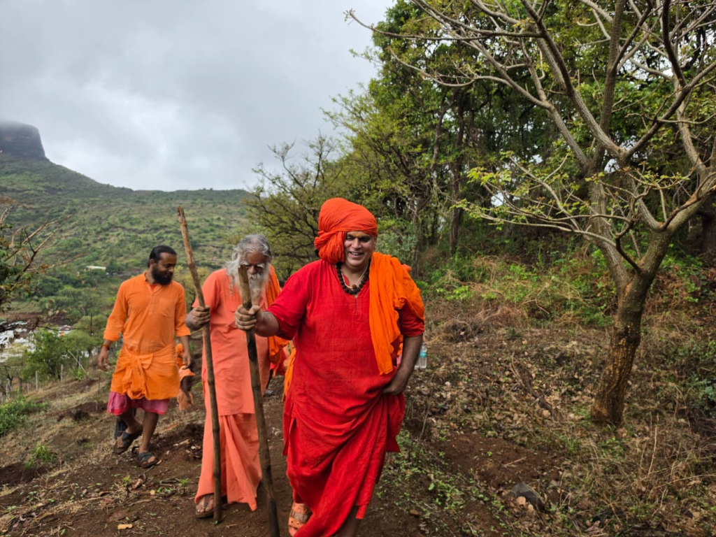 Nilgiri Tree Plantation