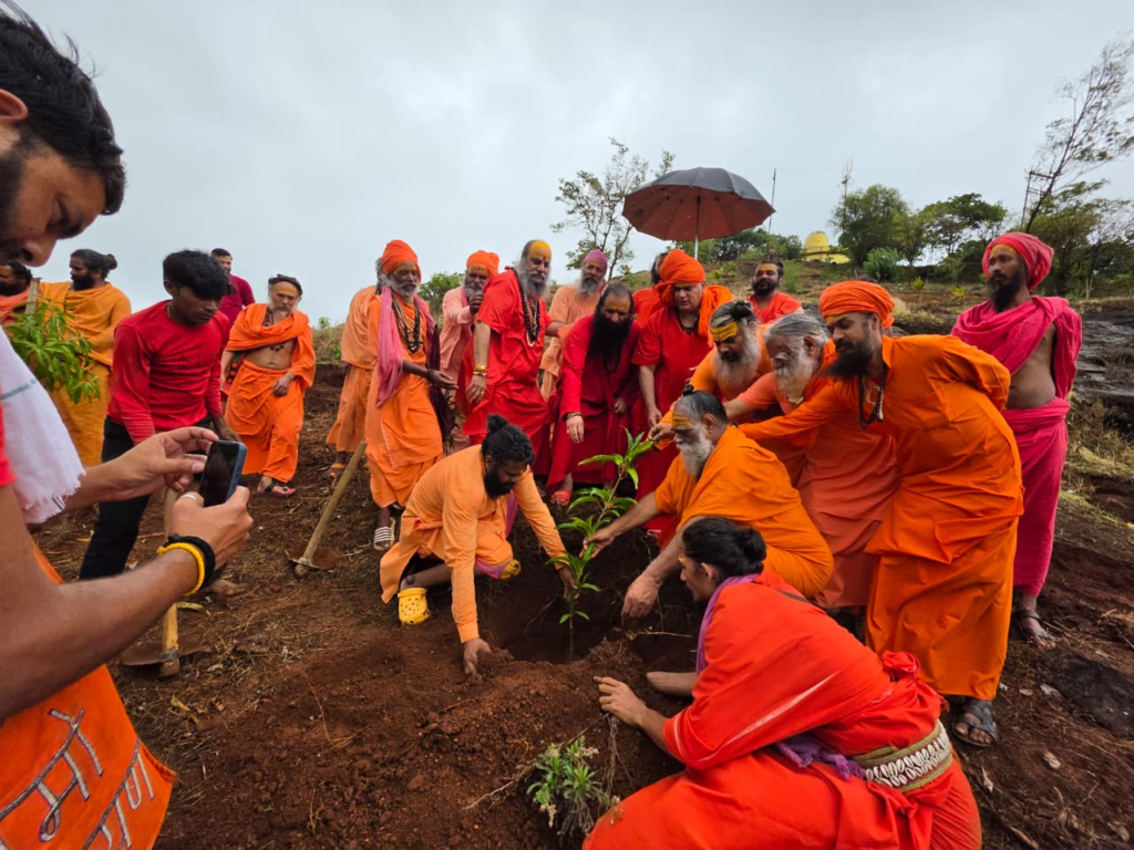 Nilgiri Tree Plantation