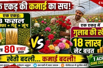 मध्य प्रदेश में किसानों के लिए पॉलीहाउस खेती एक बड़ा अवसर बनकर सामने आई है।