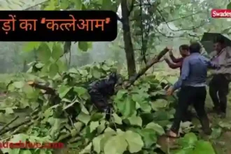 सीहोर के डाबरी वन क्षेत्र में पेड़ों की कटाई और वनभूमि पर कथित अतिक्रमण को लेकर जांच की मांग