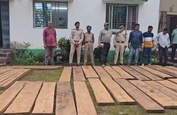Forest Smuggling sagwan kanker-pushpa-style