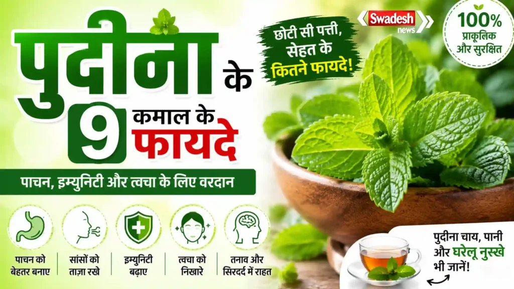 पुदीना के फायदे और स्वास्थ्य लाभ