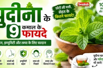 पुदीना के फायदे और स्वास्थ्य लाभ