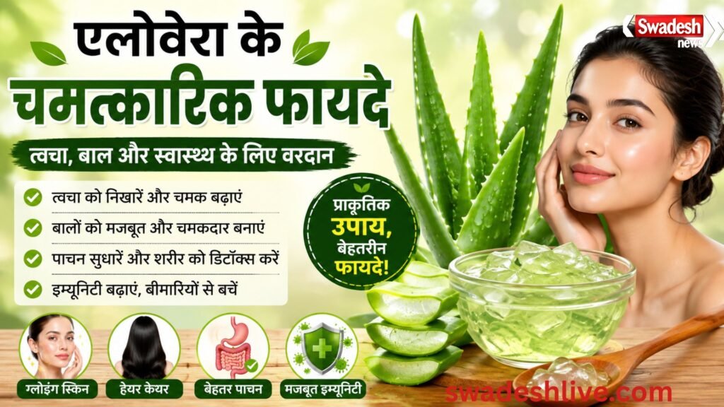 एलोवेरा के चमत्कारिक फायदे: त्वचा, बाल और स्वास्थ्य के लिए वरदान