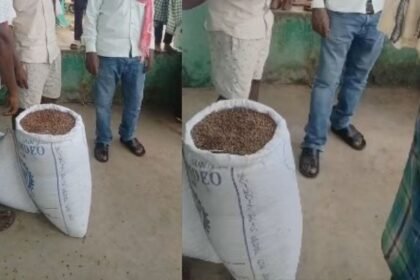 Gariaband PDS Ration Scam