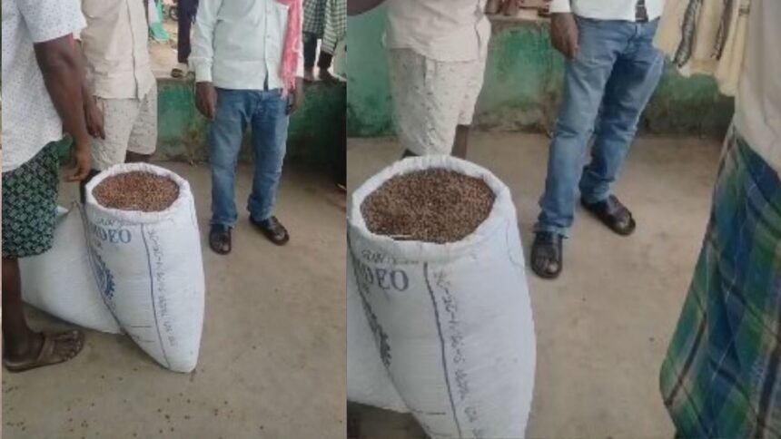 Gariaband PDS Ration Scam