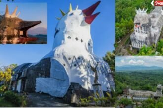 Chicken Church Indonesia