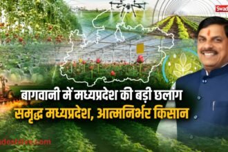 मध्यप्रदेश में आधुनिक बागवानी खेती, पॉलीहाउस और फल-सब्जी उत्पादन करते किसान