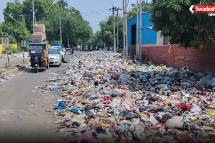 हिसार में सफाई व्यवस्था बिगड़ने से सड़कों पर जमा कूड़े के ढेर