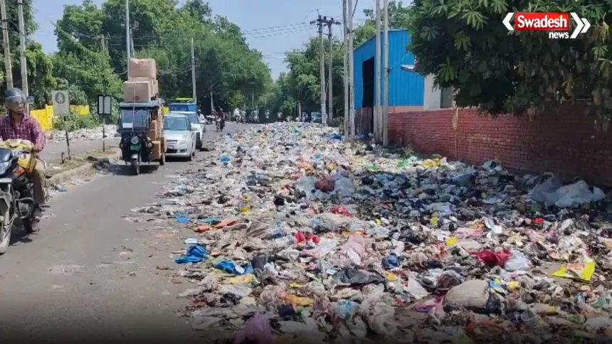 हिसार में सफाई व्यवस्था बिगड़ने से सड़कों पर जमा कूड़े के ढेर