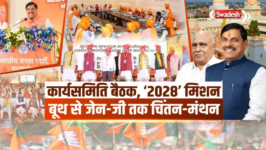 MP BJP Mission 2028