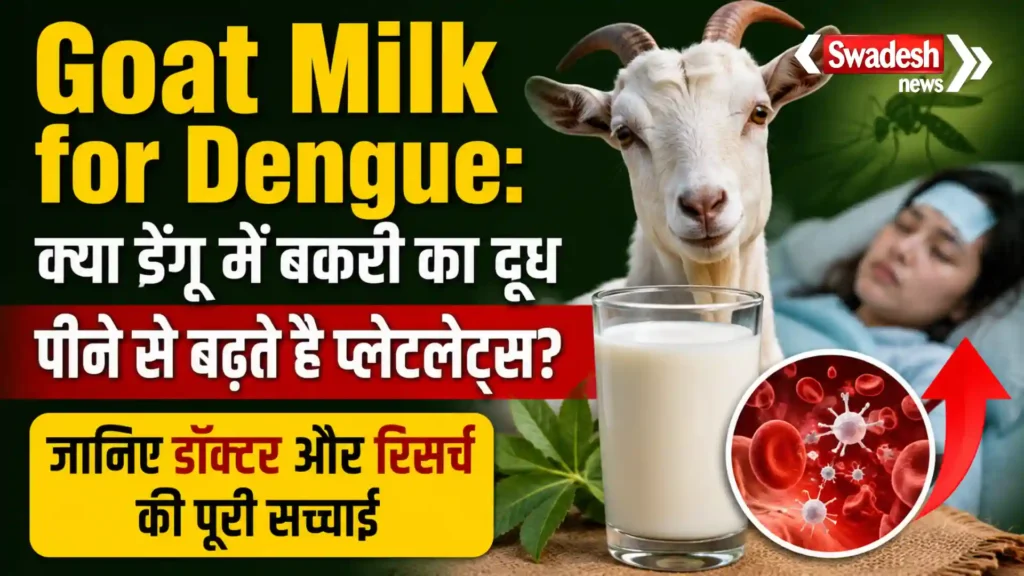 Goat Milk for Dengue